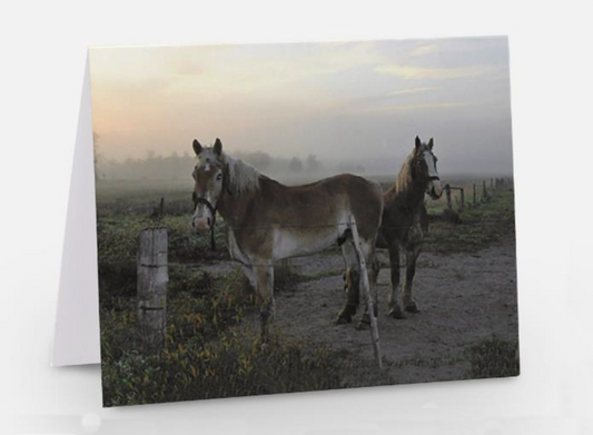 Horses in a Fog Card