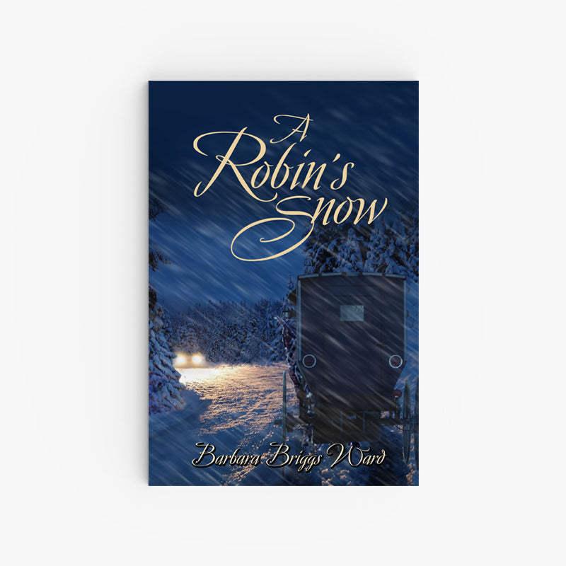 A Robin's Snow