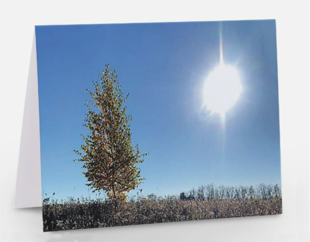 A Tree All Alone in a Field Card