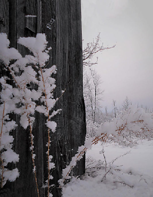 Winter Weeds Card